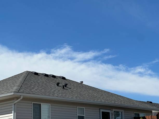 Best Metal Roofing Installation  in Beaver Creek, TX